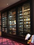 Cellar model.1F